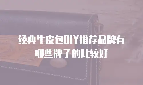 经典牛皮包DIY推荐品牌有哪些牌子的比较好