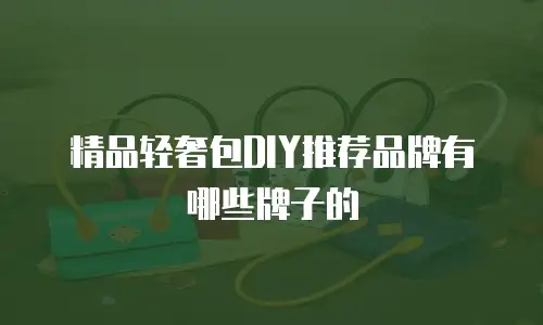 精品轻奢包DIY推荐品牌有哪些牌子的