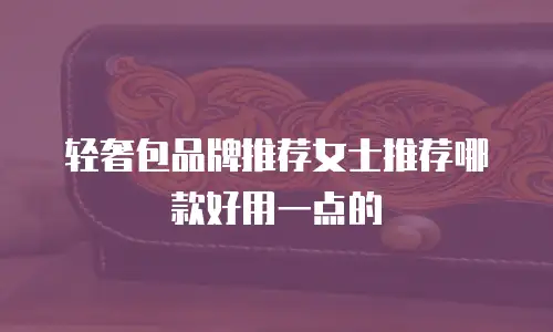 轻奢包品牌推荐女士推荐哪款好用一点的