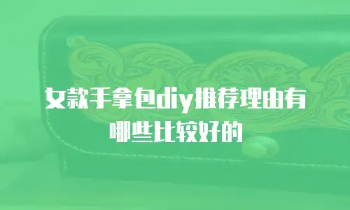 女款手拿包diy推荐理由有哪些比较好的