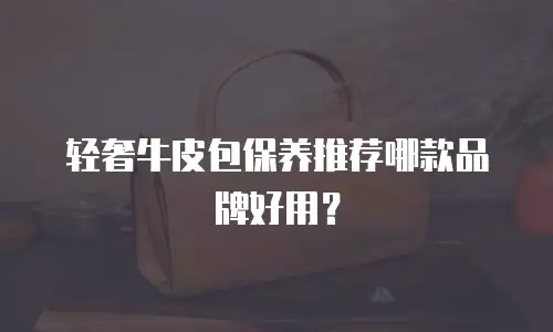 轻奢牛皮包保养推荐哪款品牌好用？