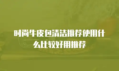 时尚牛皮包清洁推荐使用什么比较好用推荐