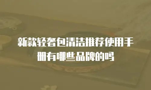 新款轻奢包清洁推荐使用手册有哪些品牌的吗