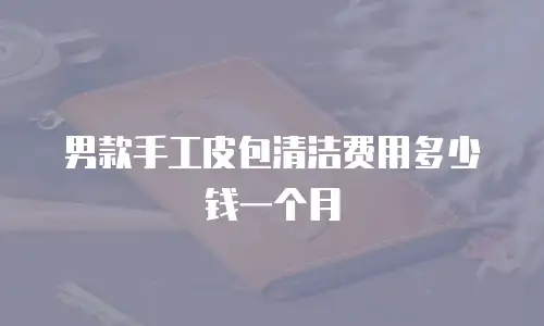 男款手工皮包清洁费用多少钱一个月