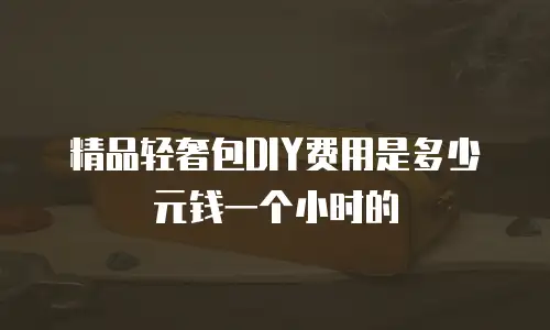 精品轻奢包DIY费用是多少元钱一个小时的