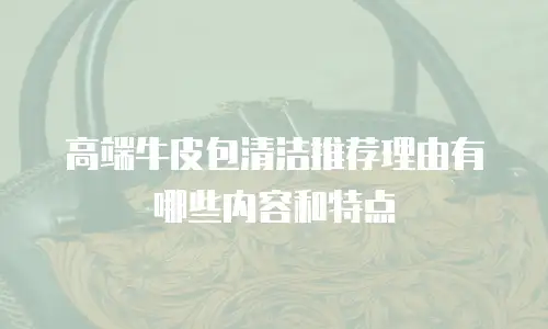 高端牛皮包清洁推荐理由有哪些内容和特点