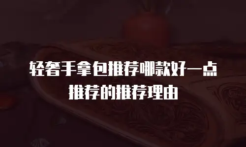 轻奢手拿包推荐哪款好一点推荐的推荐理由