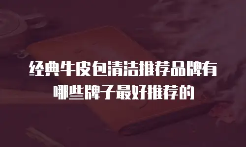 经典牛皮包清洁推荐品牌有哪些牌子最好推荐的