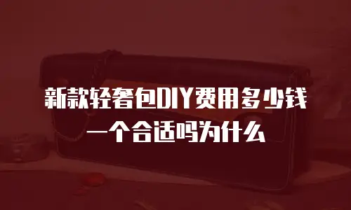 新款轻奢包DIY费用多少钱一个合适吗为什么