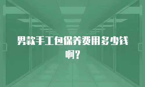 男款手工包保养费用多少钱啊？