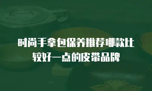 时尚手拿包保养推荐哪款比较好一点的皮带品牌