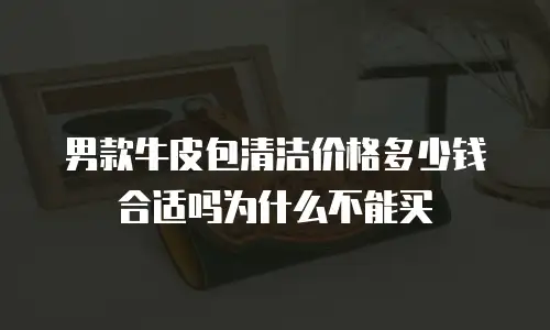 男款牛皮包清洁价格多少钱合适吗为什么不能买