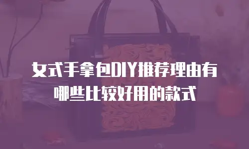 女式手拿包DIY推荐理由有哪些比较好用的款式