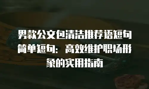 男款公文包清洁推荐语短句简单短句：高效维护职场形象的实用指南