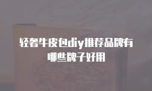 轻奢牛皮包diy推荐品牌有哪些牌子好用