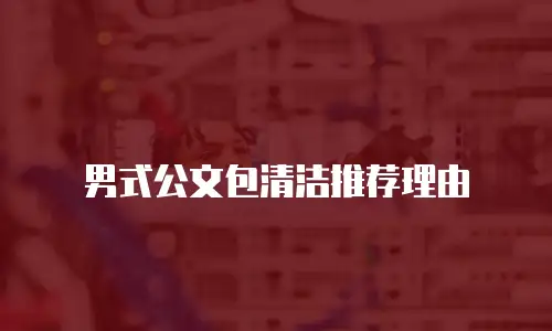 男式公文包清洁推荐理由