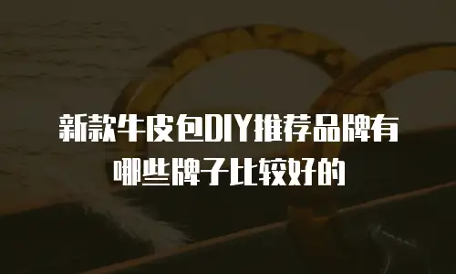 新款牛皮包DIY推荐品牌有哪些牌子比较好的