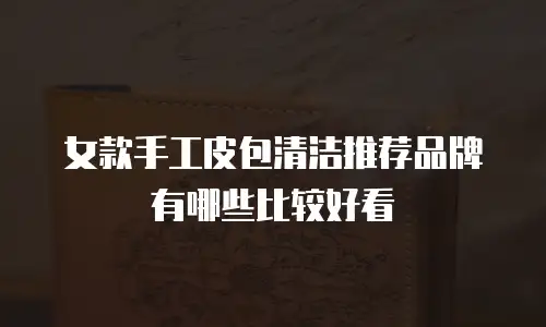 女款手工皮包清洁推荐品牌有哪些比较好看