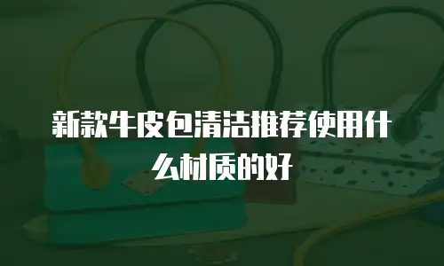 新款牛皮包清洁推荐使用什么材质的好