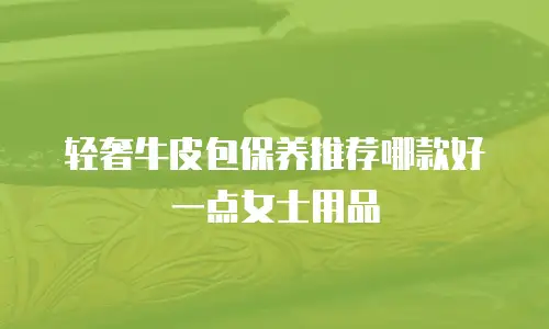 轻奢牛皮包保养推荐哪款好一点女士用品