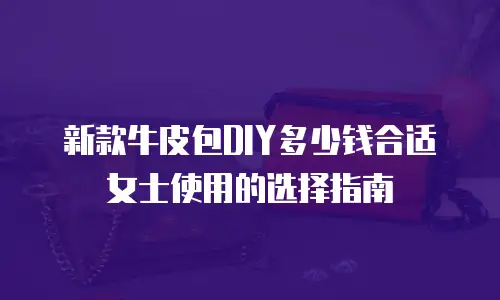 新款牛皮包DIY多少钱合适女士使用的选择指南