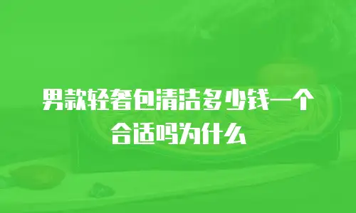 男款轻奢包清洁多少钱一个合适吗为什么