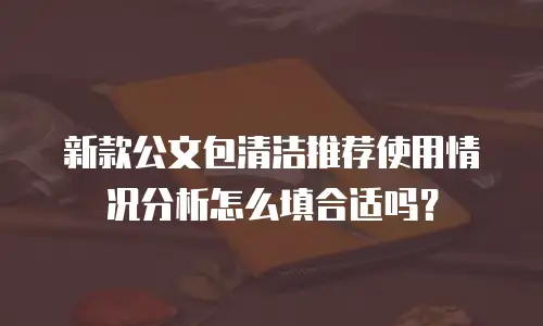 新款公文包清洁推荐使用情况分析怎么填合适吗？