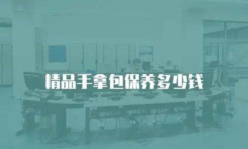 精品手拿包保养多少钱