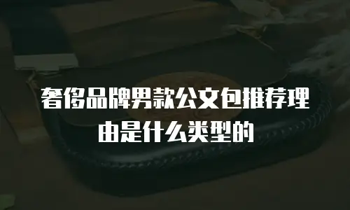 奢侈品牌男款公文包推荐理由是什么类型的