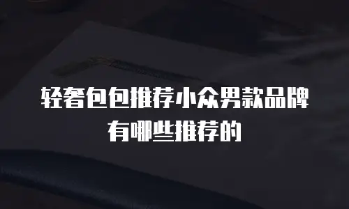 轻奢包包推荐小众男款品牌有哪些推荐的