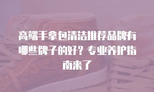 高端手拿包清洁推荐品牌有哪些牌子的好？专业养护指南来了