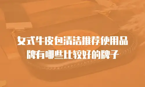 女式牛皮包清洁推荐使用品牌有哪些比较好的牌子