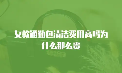女款通勤包清洁费用高吗为什么那么贵