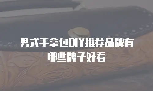 男式手拿包DIY推荐品牌有哪些牌子好看
