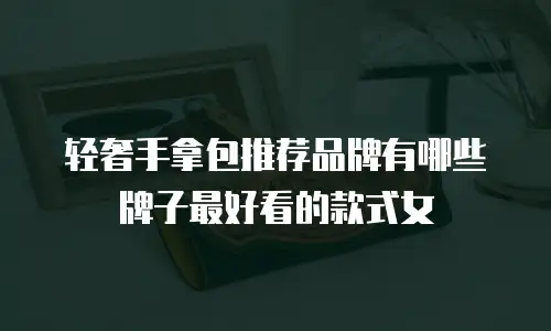 轻奢手拿包推荐品牌有哪些牌子最好看的款式女