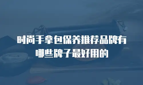 时尚手拿包保养推荐品牌有哪些牌子最好用的