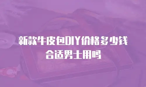 新款牛皮包DIY价格多少钱合适男士用吗