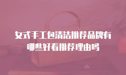 女式手工包清洁推荐品牌有哪些好看推荐理由吗