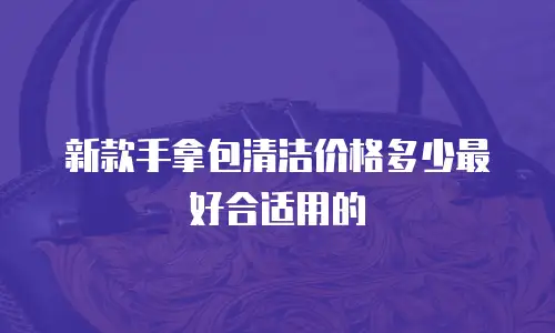 新款手拿包清洁价格多少最好合适用的