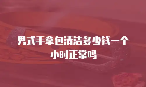 男式手拿包清洁多少钱一个小时正常吗