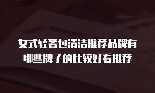 女式轻奢包清洁推荐品牌有哪些牌子的比较好看推荐