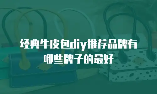 经典牛皮包diy推荐品牌有哪些牌子的最好