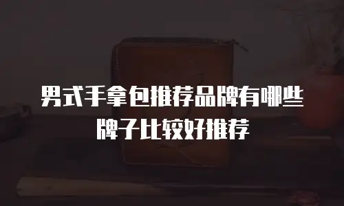 男式手拿包推荐品牌有哪些牌子比较好推荐