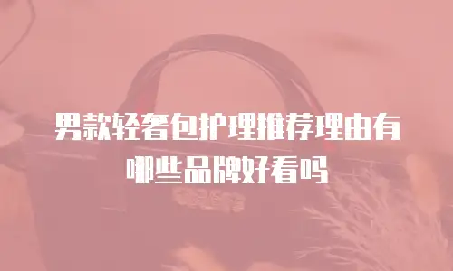 男款轻奢包护理推荐理由有哪些品牌好看吗