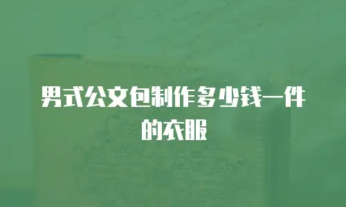男式公文包制作多少钱一件的衣服