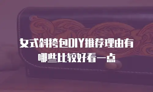 女式斜挎包DIY推荐理由有哪些比较好看一点