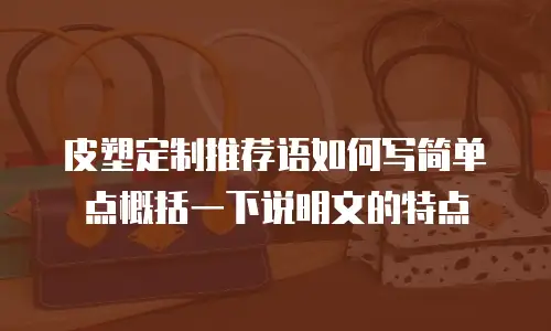 皮塑定制推荐语如何写简单点概括一下说明文的特点