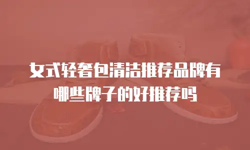 女式轻奢包清洁推荐品牌有哪些牌子的好推荐吗