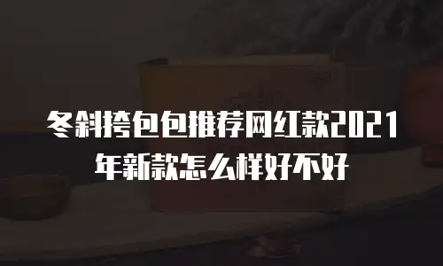 冬斜挎包包推荐网红款2021年新款怎么样好不好
