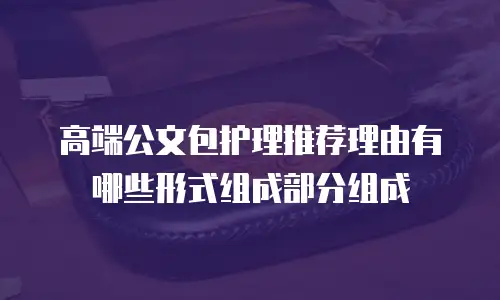 高端公文包护理推荐理由有哪些形式组成部分组成